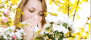 Sinus2